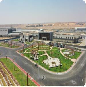 Forward Egypt Factory
